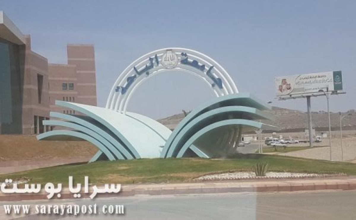 جامعة الباحة : أكثر من 96 ألف مستخدم عبر برنامج "رافد" تعليم عن بعد