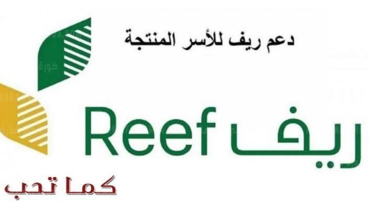 طرق التسجيل في ريف للدعم النقدي للأسر المنتجة وربات البيوت ReefSaudi
