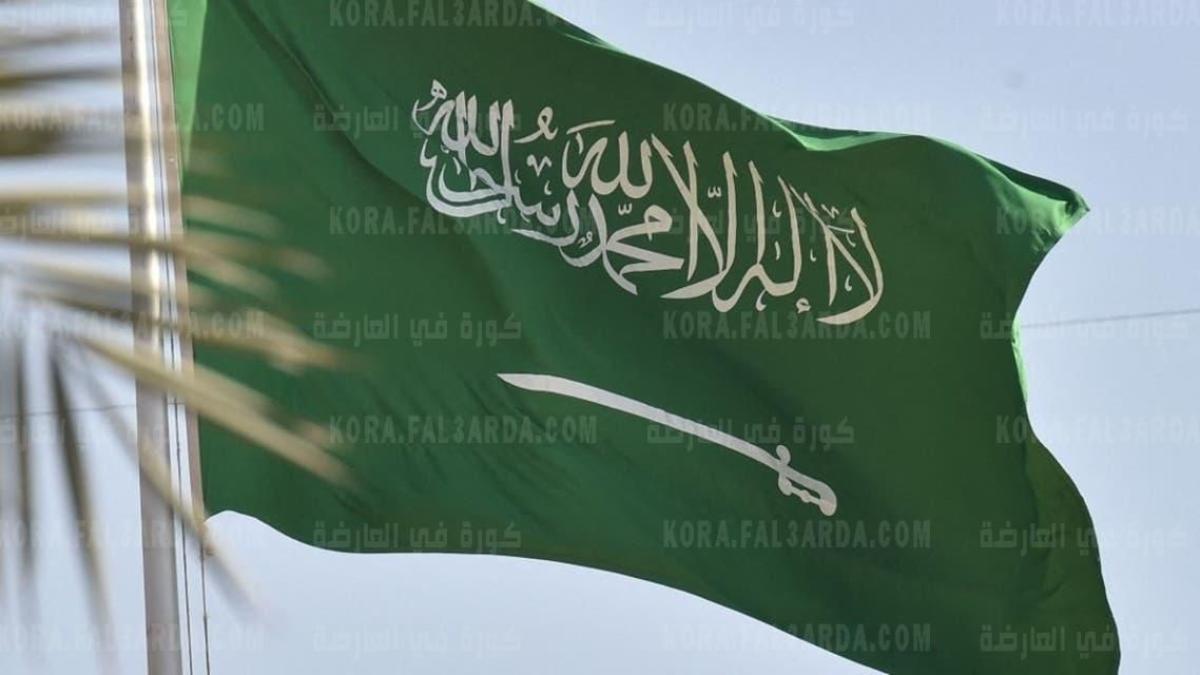 السعودية تصدر قرار يتعلق بخدمة صلاحية تأشيرات الزيارة آليًا
