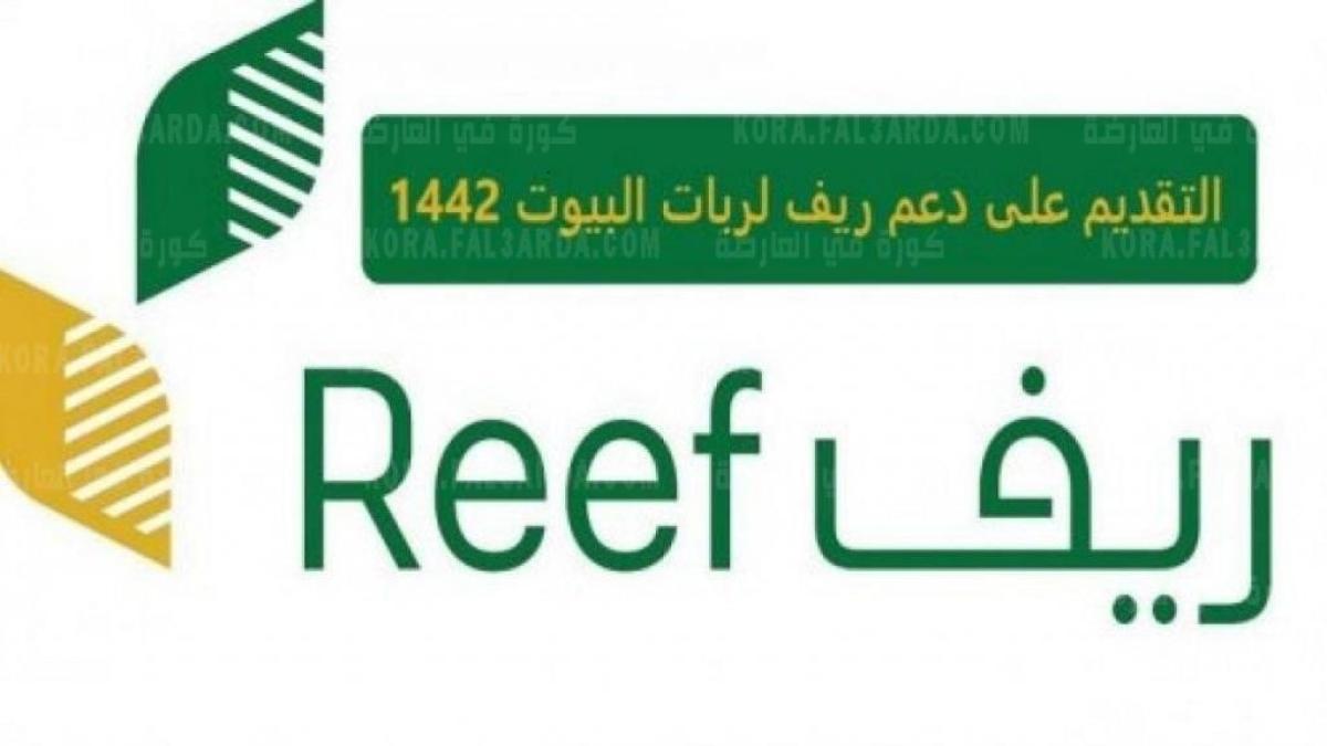 رابط التسجيل في برنامج ريف السعودي 1443 عبر موقع reef.org.sa للدعم المادي