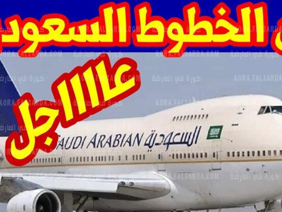 “بشري سارة” الطيران السعودي يعلن موعد فتح الطيران بين مصر والسعودية لعودة العمالة المصرية وأداء العمرة