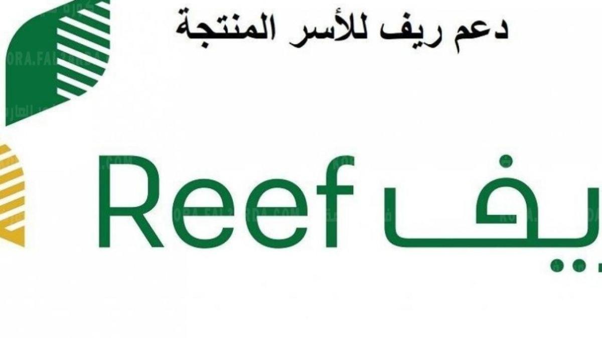 رابط التسجيل في منصة ريف للأسر المنتجة والعاطلين عن العمل 1433|reef.gov.sa| شروط التسجيل | بالتفاصيل