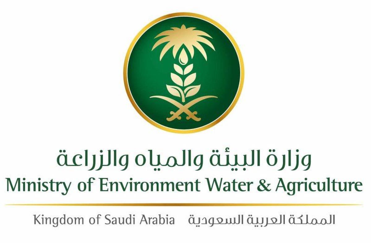 "البيئة" تدرِّب منسوبيها على نظم المعلومات الجغرافية واستخداماتها