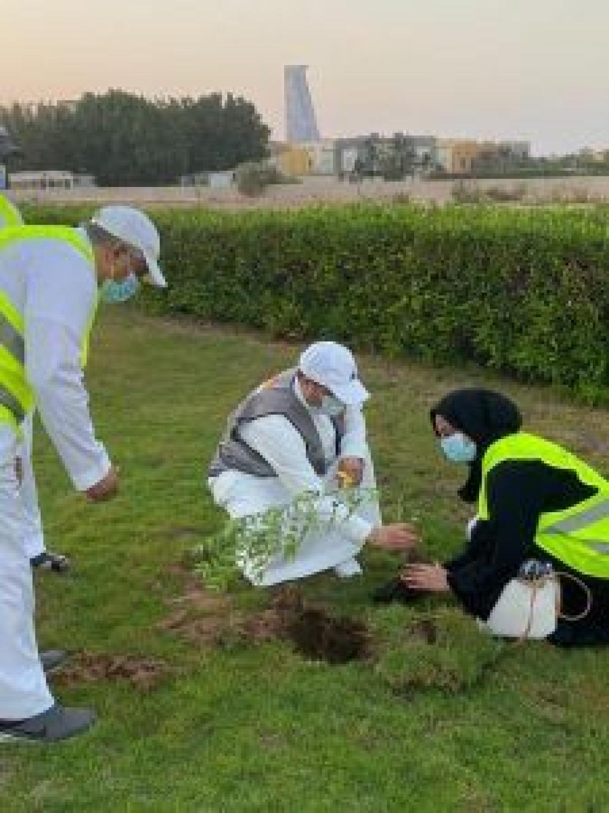 مبادرة جدة الخضراء.. أمانة المحافظة تشرك المتطوعين في زراعة 1900 شتلة
1:32 مساءً7 أكتوبر, 2021