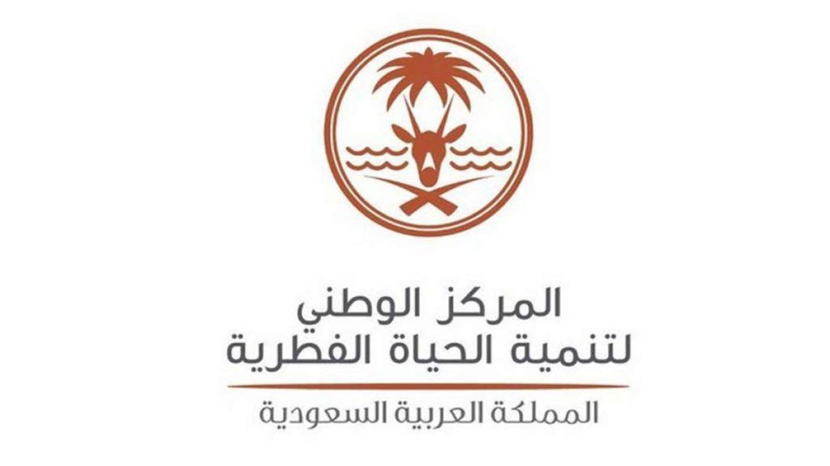 فيديو لغزال تائه يتجول وسط حي الندى بالرياض.. و”الحياة الفطرية” تتفاعل معه
1:30 مساءً7 أكتوبر, 2021