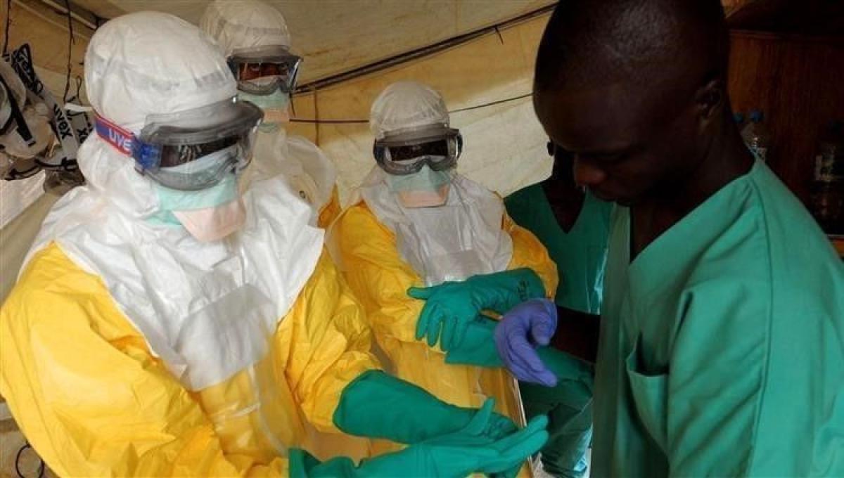 قلق بين السكان.. ظهور إصابة جديدة بفيروس إيبولا شرق الكونغو   
أبرز المواد