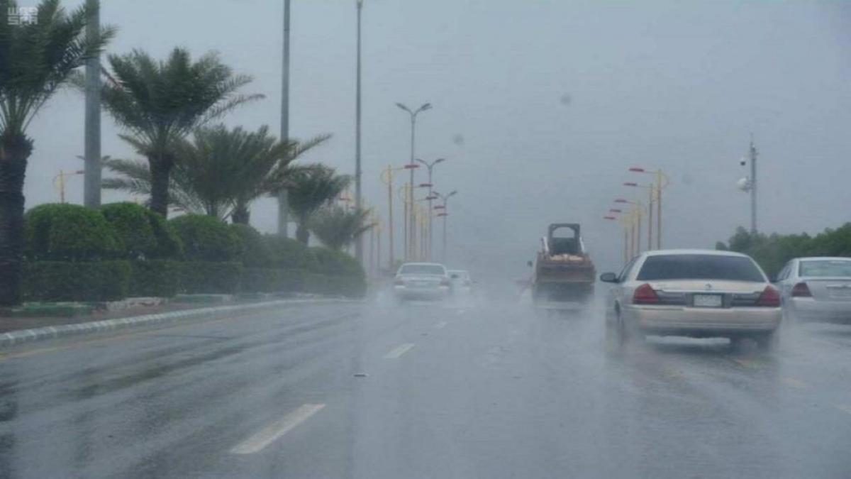 أمطار غزيرة بالطائف.. و”الدفاع المدني” يوجه رسالة تحذيرية للمواطنين
أبرز المواد